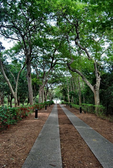 Deering Estate Miami Kids Activities Attractions Events Parks Fun
