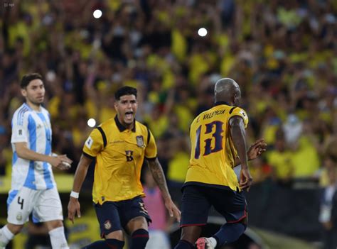 Ecuador confirmó los amistosos de la Fecha FIFA de octubre