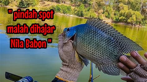 Gak Nyangka Musim Pagebluk Masih Dihajar Nila Babon Mancing Ikan