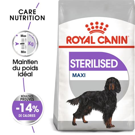 Croquettes Royal Canin Maxi Sterilised pour chien
