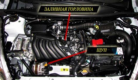 Замена масла в Ниссан Жук. Меняем масло Nissan Juke своими руками