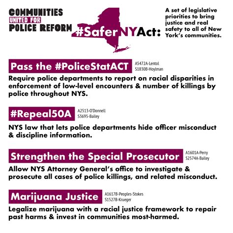 New York Safe Act 2024 Regulations Bryna Anderea