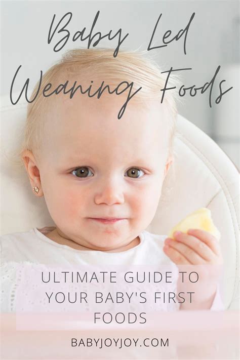Baby Led Weaning Foods: Ultimate Guide To Your Baby's First Foods