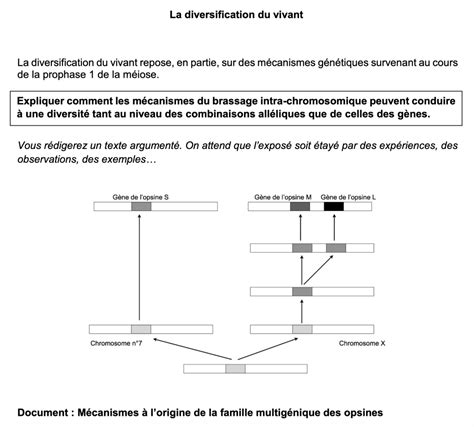 Corrig S De Sujets De Bac De Sp Svt