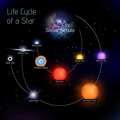 Discover The Largest Star In The Known Universe W3schools