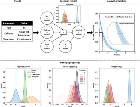 Overview Of Bayesian Approach To Survival Prediction A Data Pipeline