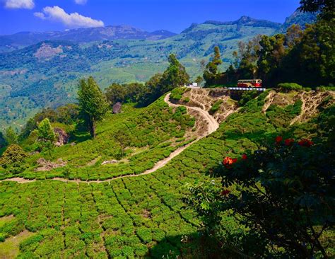 Munnar Wallpapers Wallpaper Cave