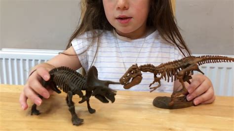 Fossils Youtube