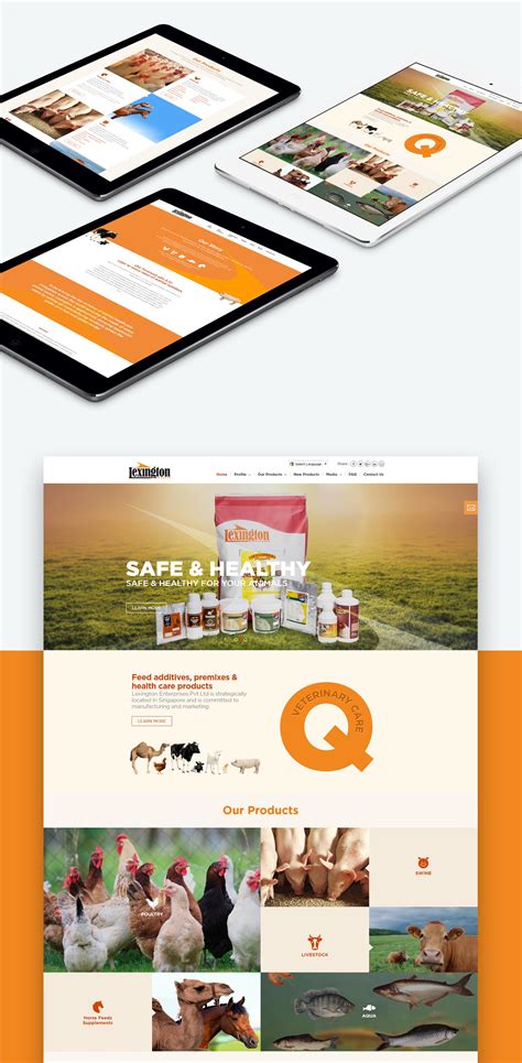 Regulatory bodies investigate the marketing practices of lexington law 20