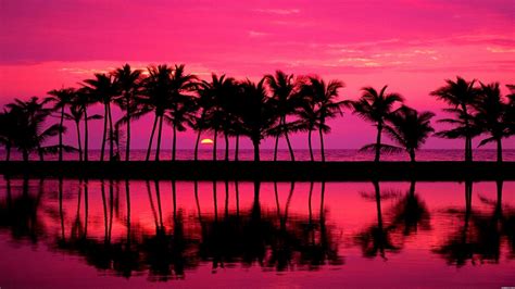 Beautiful Pink Beach Sunset [1920x1080] : wallpaper