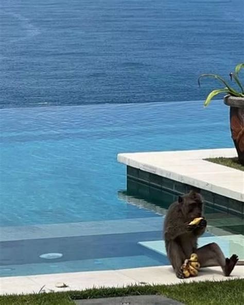 Influencer Tammy Hembrow Flaunts Toned Bikini Body On A Night Bali