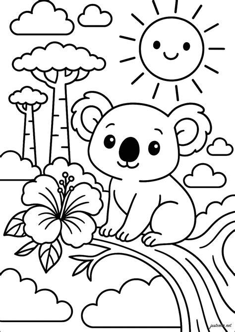 koala color pages 8
