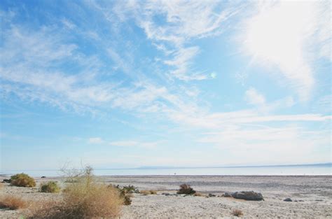 salton sea | CAKIES