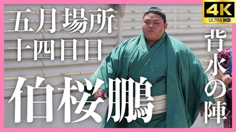 【伯桜鵬 對馬洋】罠。大相撲 五月場所 十四日目【夏場所｜sumo】hakuoho Youtube