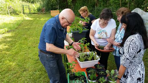 Pflanzentauschb Rse Im Interkulturellen Garten Meinstutensee De