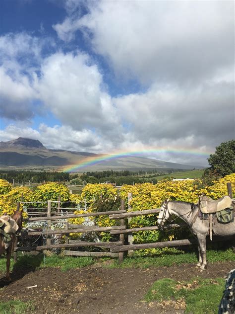 Best Ecuador Images On Pholder Artefact Porn Nature Is Fucking Lit And Interestingasfuck