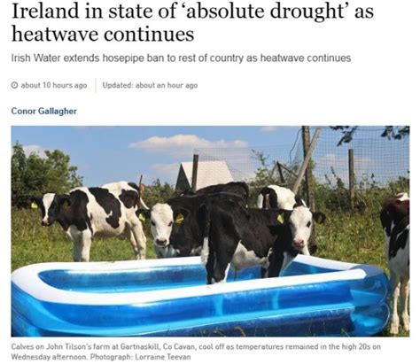 You Know Its Hot Outside When Barnorama