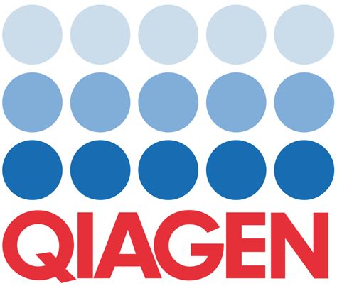 Ivg Comercializadora