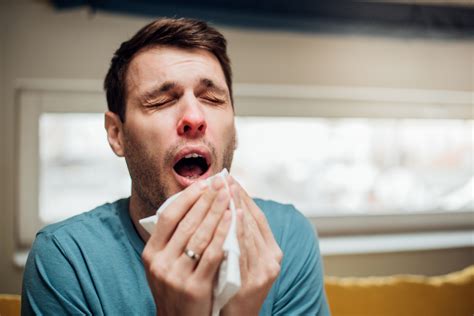 Why Do We Sneeze Hb101 Explains