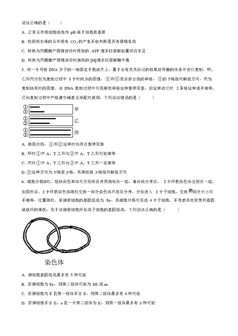 2023年山东普通高中学业水平等级考试生物真题及答案word版