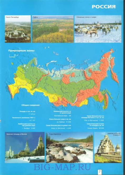 Природные зоны России. Карта природных зон России. Общегеографические ...