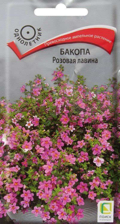 Купить семена Бакопа Розовая лавина в магазине Первые Семена по цене ...