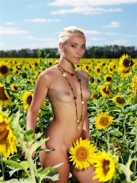 Naked In Sunflowers Photos Porn Photo