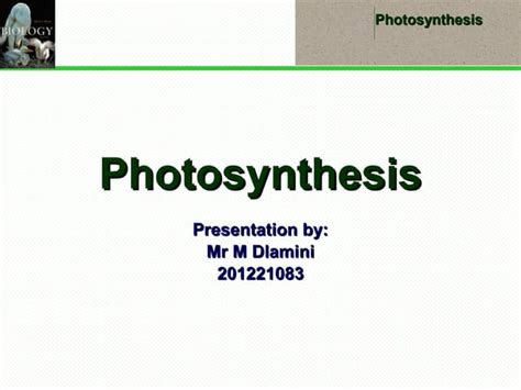 Photosynthesis Powerpoint Ppt