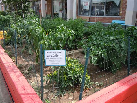 Share Your Tortilla Factory Memories | Herndon, VA Patch