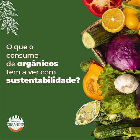 Os Consumidores Têm Muitas Opções Ecológicas Para Escolher.