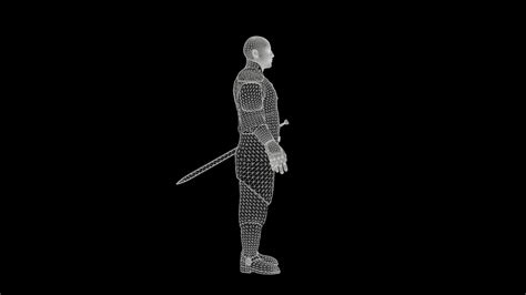 Medieval Warrior