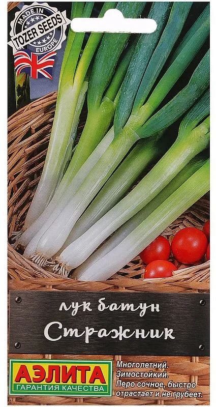 Семена Лук батун Стражник: описание сорта, фото - купить с доставкой ...