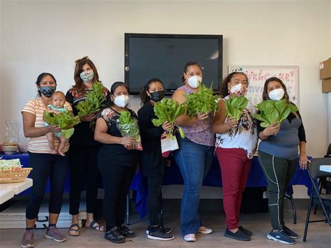 Amenities and Programs Offered at Bayside Recreation Center 20