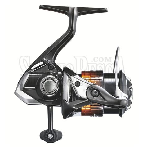 Soare BB - Sergio Pesca