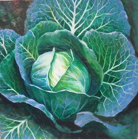 Cabbage Painting At Explore Collection Of Cabbage