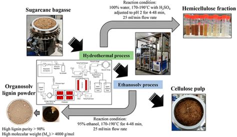 通过流通式水热乙醇溶剂法对甘蔗渣进行两级分馏industrial And Engineering Chemistry Research X Mol