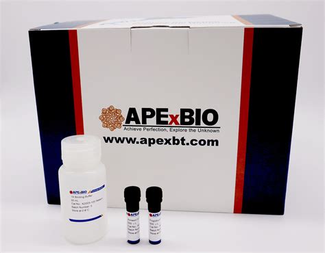 Apexbio Annexin V Fitc Apoptosis Kit Detects Apoptosis