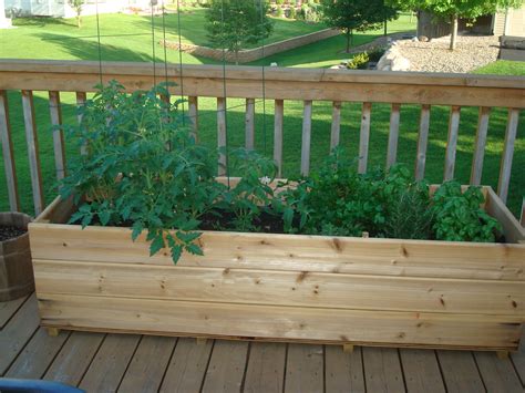 The Deck Garden Today | My Northern Garden