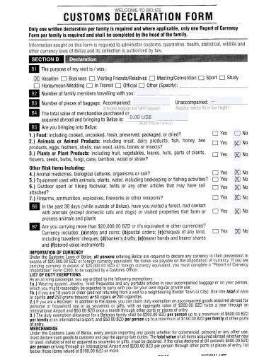 Customs Declaration Form India