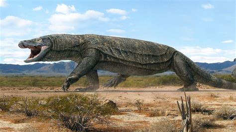 Megalania Lagartija Gigante Que Vagó Por Las Selvas De Australia