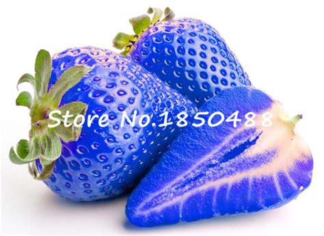 300pcs Blue Strawberry Seeds Edible Nutritious