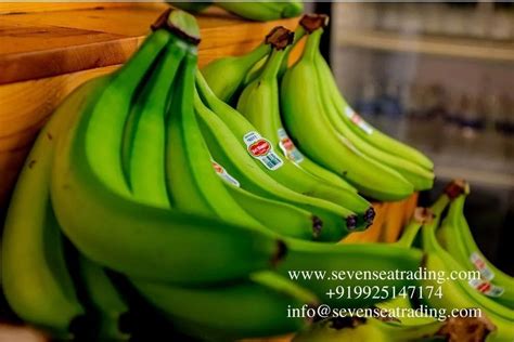 A Grade Cavendish G Banana Packaging Size Kg Packaging Type