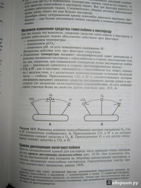 Книга: Основы медицинской физиологии. Учебное пособие - Николай Алипов ...