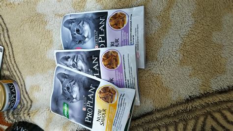 Purina ProPlan kitten - ПетОбзор