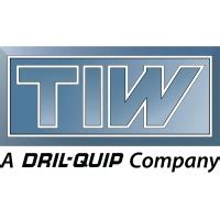 tiw corporation linkedin
