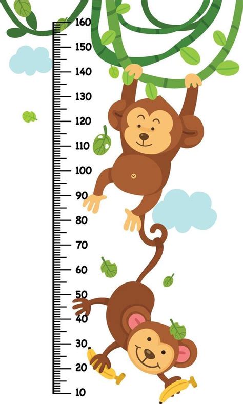 meter wall  monkey illustration  vector art  vecteezy