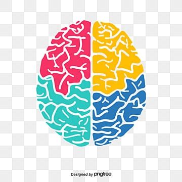 colorful brain png vector psd  clipart  transparent