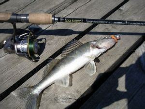 Спиннинги Понтон 21: отзывы, особенности, популярные модели бренда Pontoon