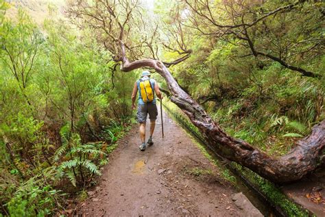 Wandern Auf Madeira Stock Bild Colourbox