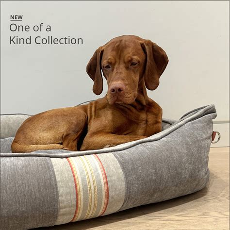 Bowsers Pet Products Bowsers Pet Products Home Page